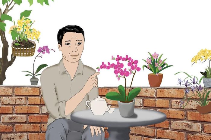 Sắc lan mùa phố 1 d0381d2e5661bf3fe670