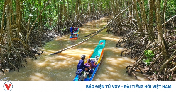 rs 11 du lich mui ca mau