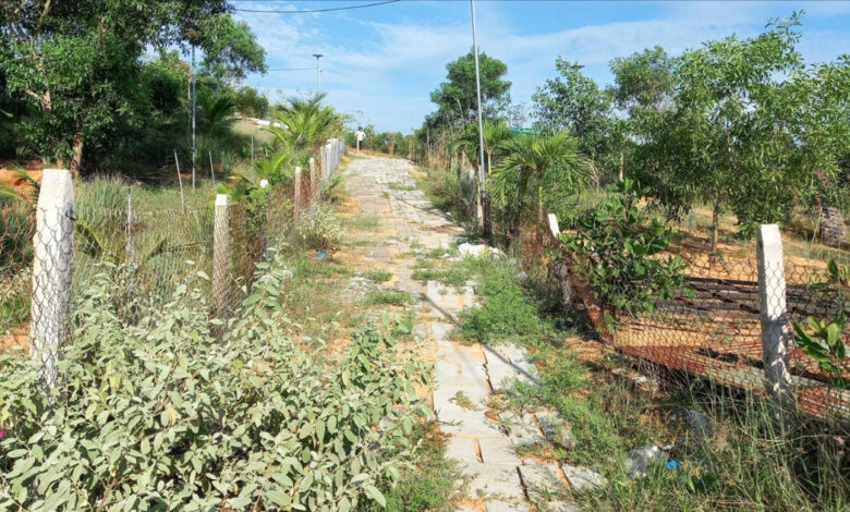 Hành vi lấn, chiếm đất có thể bị phạt 1 tỷ đồng 1 20231003 151523 4818 8996 6186
