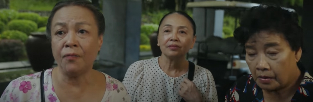 hoa sua ve trong gio tap 36 chi xoai duoc moi di hen ho hinh anh 3