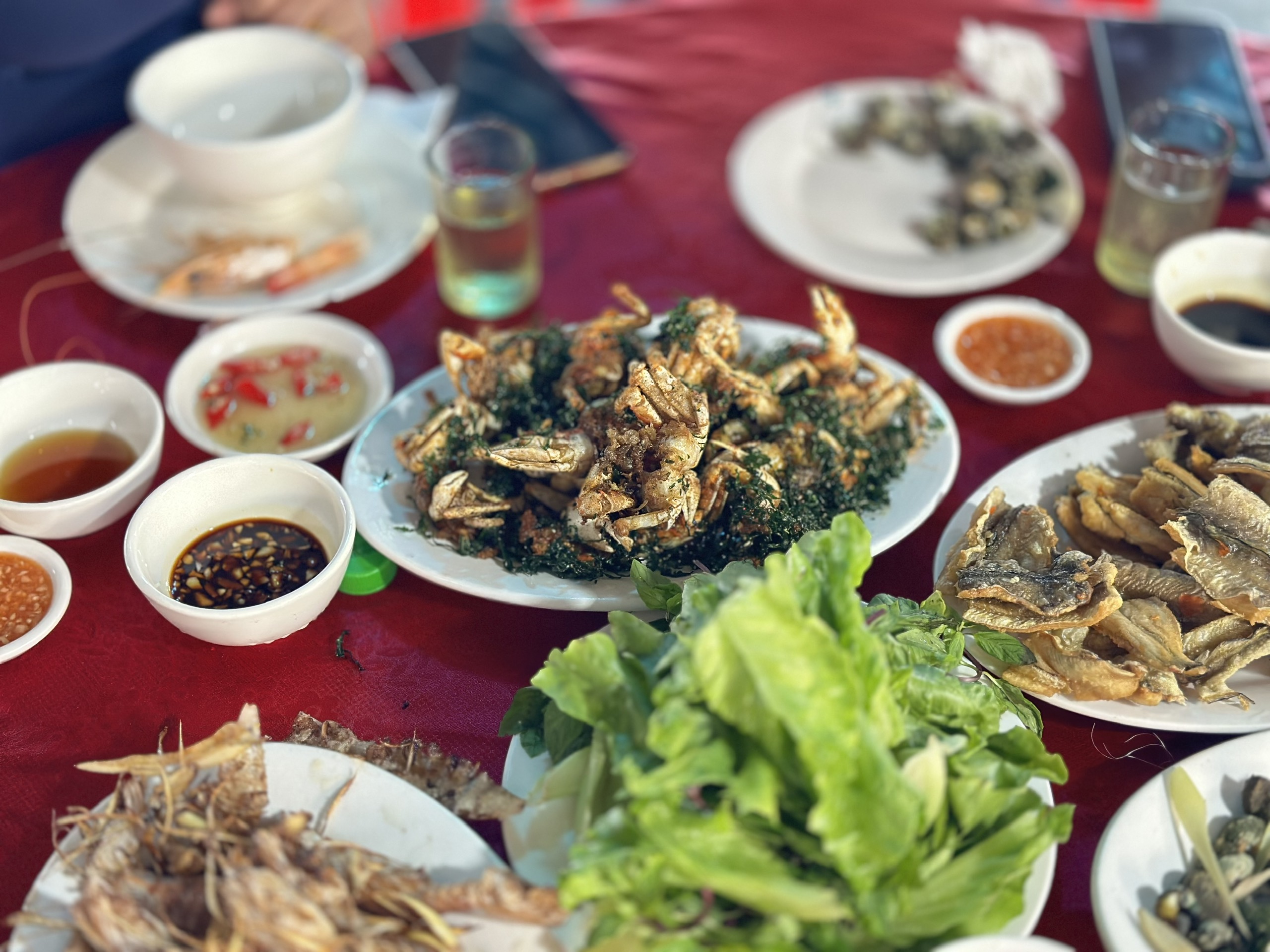 Vĩnh Thực, hòn đảo xinh đẹp đến là để nhớ- Ảnh 18. Vĩnh Thực, hòn đảo xinh đẹp đến là để nhớ- Ảnh 18.