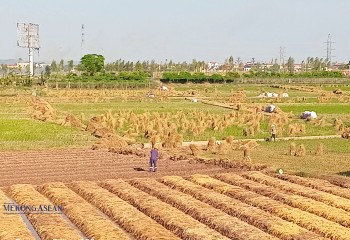 Kinh Môn thiệt hại nông, lâm nghiệp, thủy sản do bão lũ trên 520 tỷ đồng