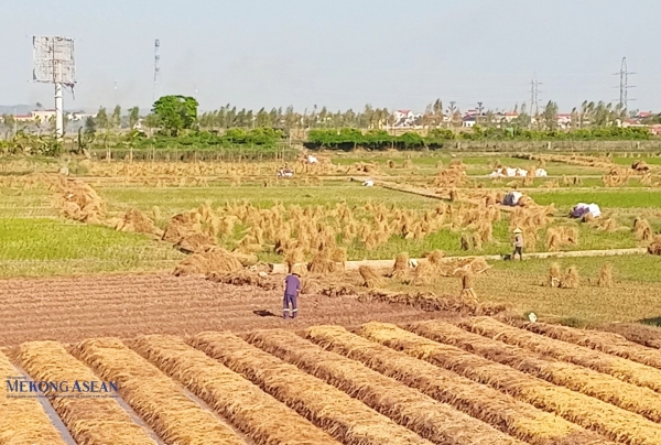 Kinh Môn thiệt hại nông, lâm nghiệp, thủy sản do bão lũ trên 520 tỷ đồng 1 920241004044607