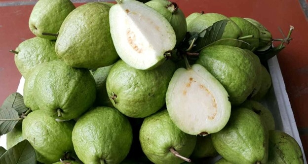 Duoc menh danh la nu hoang vitamin c nhung oi lai dai ky voi nhung nguoi nay hinh anh 1