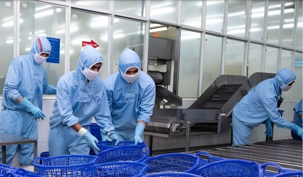 Top 5 doanh nghiệp xuất khẩu tôm lớn nhất của Việt Nam 1 anh fmc20241021125251