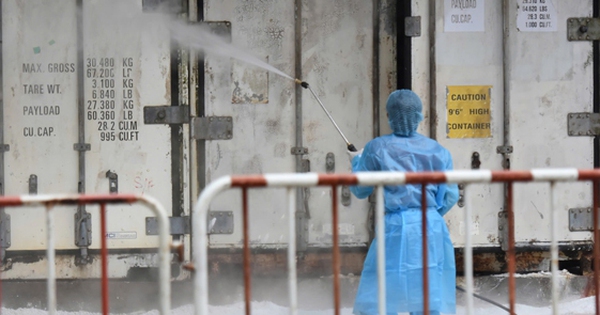 Nguy cơ lây lan cúm A/H5N1 từ hổ sang người khá thấp 1 anh tin 3 10 17279592435731133653915 0 0 351 561 crop 1727959413213169400012