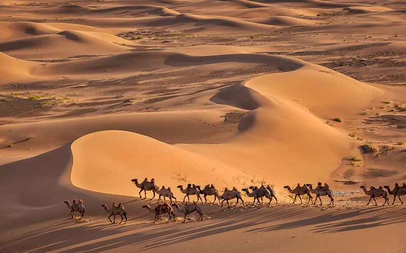 gobi-desert-big-17271979896631017221693 Du lịch Mông Cổ: Ấn tượng với khung cảnh bùng nổ sắc màu mùa thu - Ảnh 6.