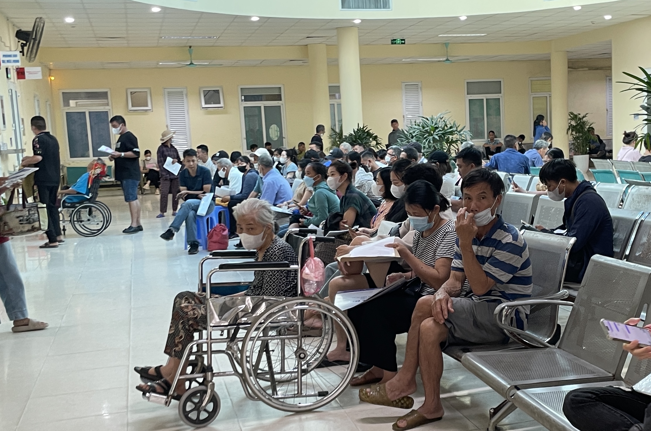 Bỏ hết giấy chuyển tuyến, Bộ Y tế nói gì?- Ảnh 3. Bỏ hết giấy chuyển tuyến, Bộ Y tế nói gì?- Ảnh 3.