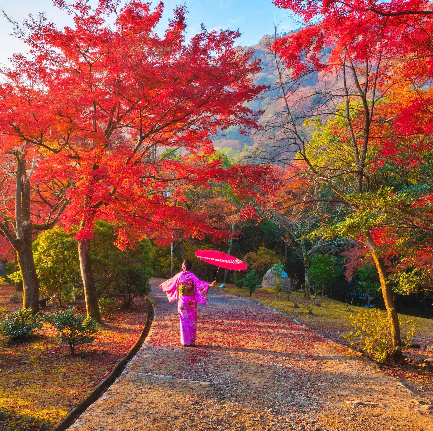 japanese-woman-enjoying-the-beau-1728403159537364517266 Thành phố Hồ Chí Minh - điểm đến mặt trời mùa đông tháng 11 - Ảnh 6.