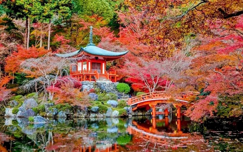 kyoto-la-co-do-noi-tieng-voi-tra-17288593329071619415361 Nhân tố Việt Nam trong "câu chuyện thành công" về du lịch châu Á - Thái Bình Dương - Ảnh 3.