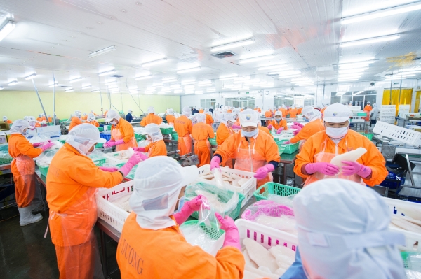 Xuất khẩu cá tra sang Trung Quốc có tháng thứ 3 trong năm 2024 bị sụt giảm 1 navico20241027110335