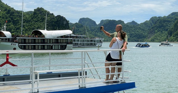 pha tuan chau 3 172509768310867622916 97 0 1437 2560 crop 1725098061756937239136
