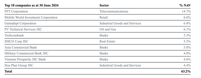 Danh mục đầu tư của Quỹ Vietnam Holdings (VNH) quy-6007-4494.png
