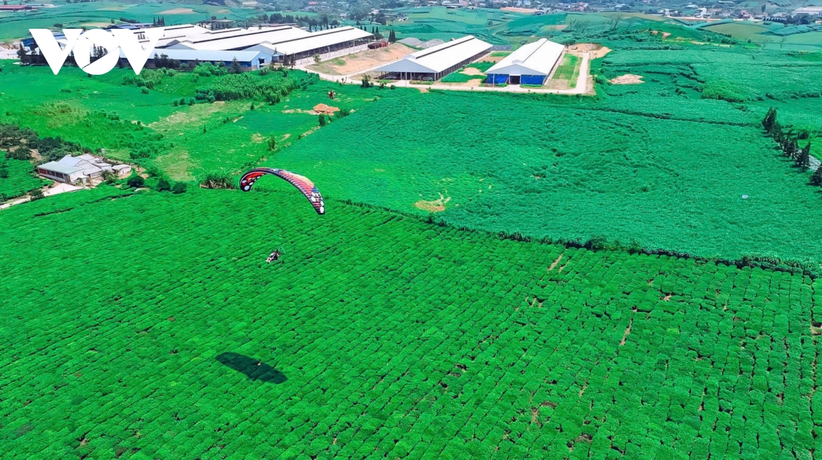 du lich son la khoi sac sau 9 thang dau nam hinh anh 1