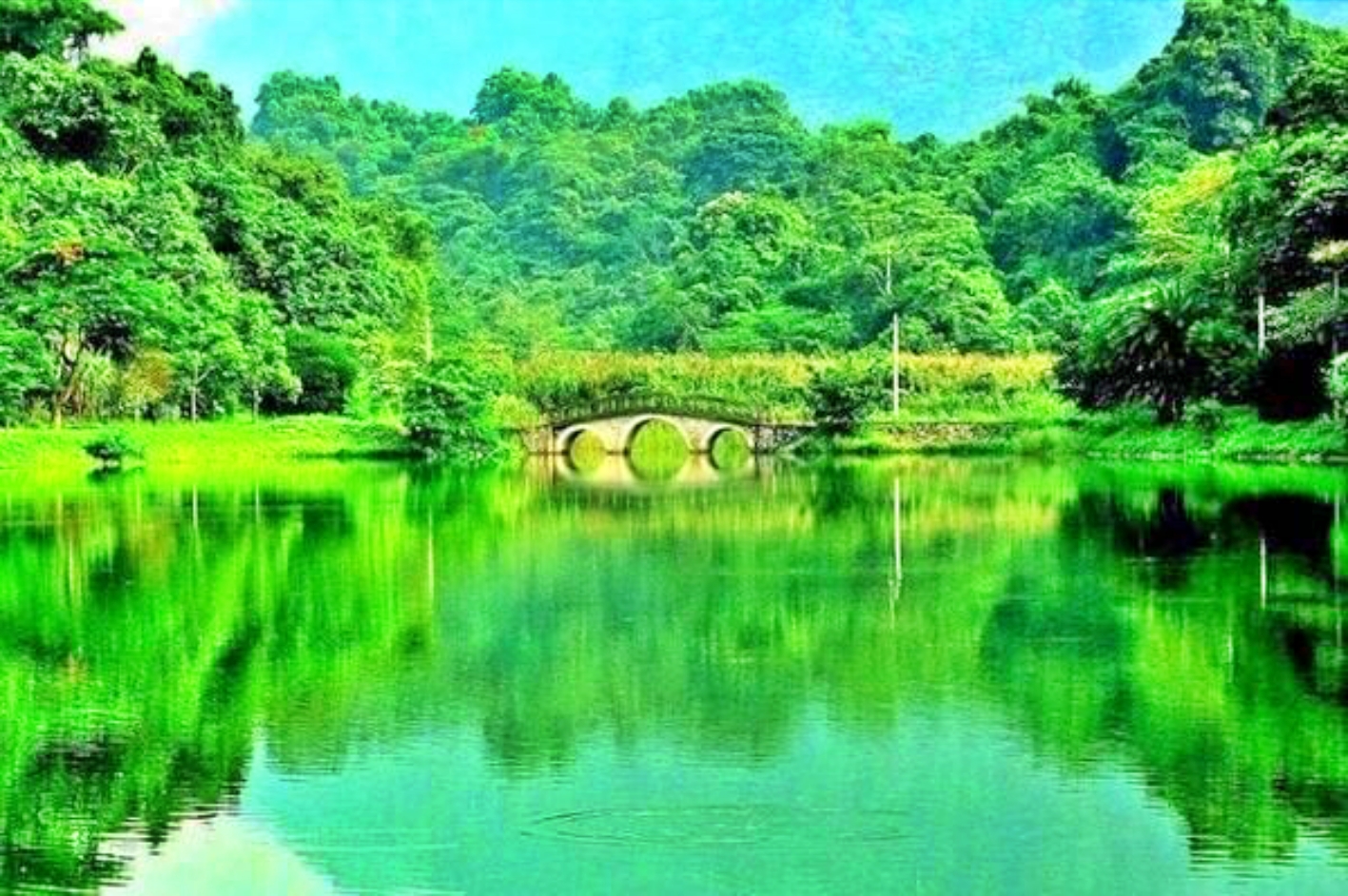 rung-cuc-phuong-ninh-binh845-17261504763761578768336 Việt Nam đăng quang ở nhiều hạng mục quan trọng "giải Oscar ngành du lịch" - Ảnh 6.