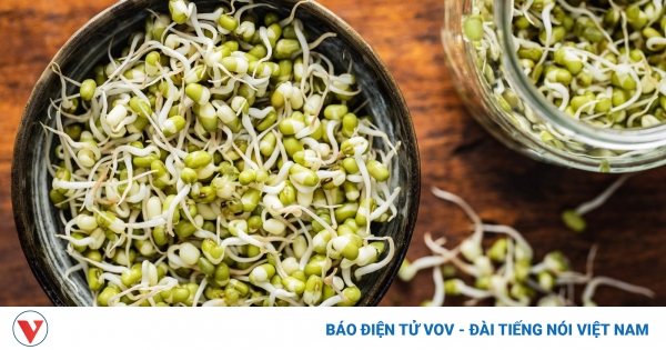 Loại hạt khi ngâm nước sẽ hóa “thần dược” hạ mỡ máu, ngừa ung thư giá lại cực rẻ 1 tac dung cua gia do 1