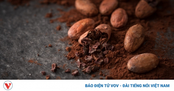 Việt Nam có loại hạt lọt top ngon nhất thế giới, vừa bổ dưỡng vừa ngừa ung thư 1 tac dung cua hat ca cao 1