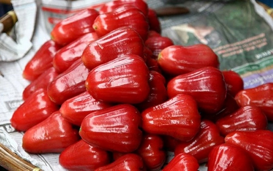 loai qua ngot thanh mat cuc nhieu o viet nam, vua bo xuong vua duong than hinh anh 1