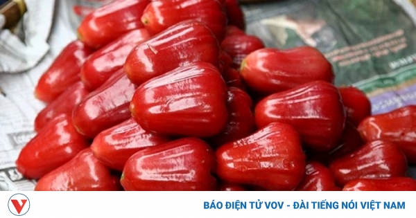 Loại quả ngọt thanh mát cực nhiều ở Việt Nam, vừa bổ xương vữa dưỡng thận 1 tac dung cua qua roi 1