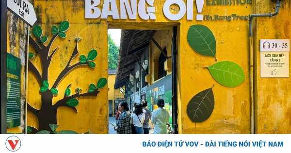 trien lam bang oi hoa lo