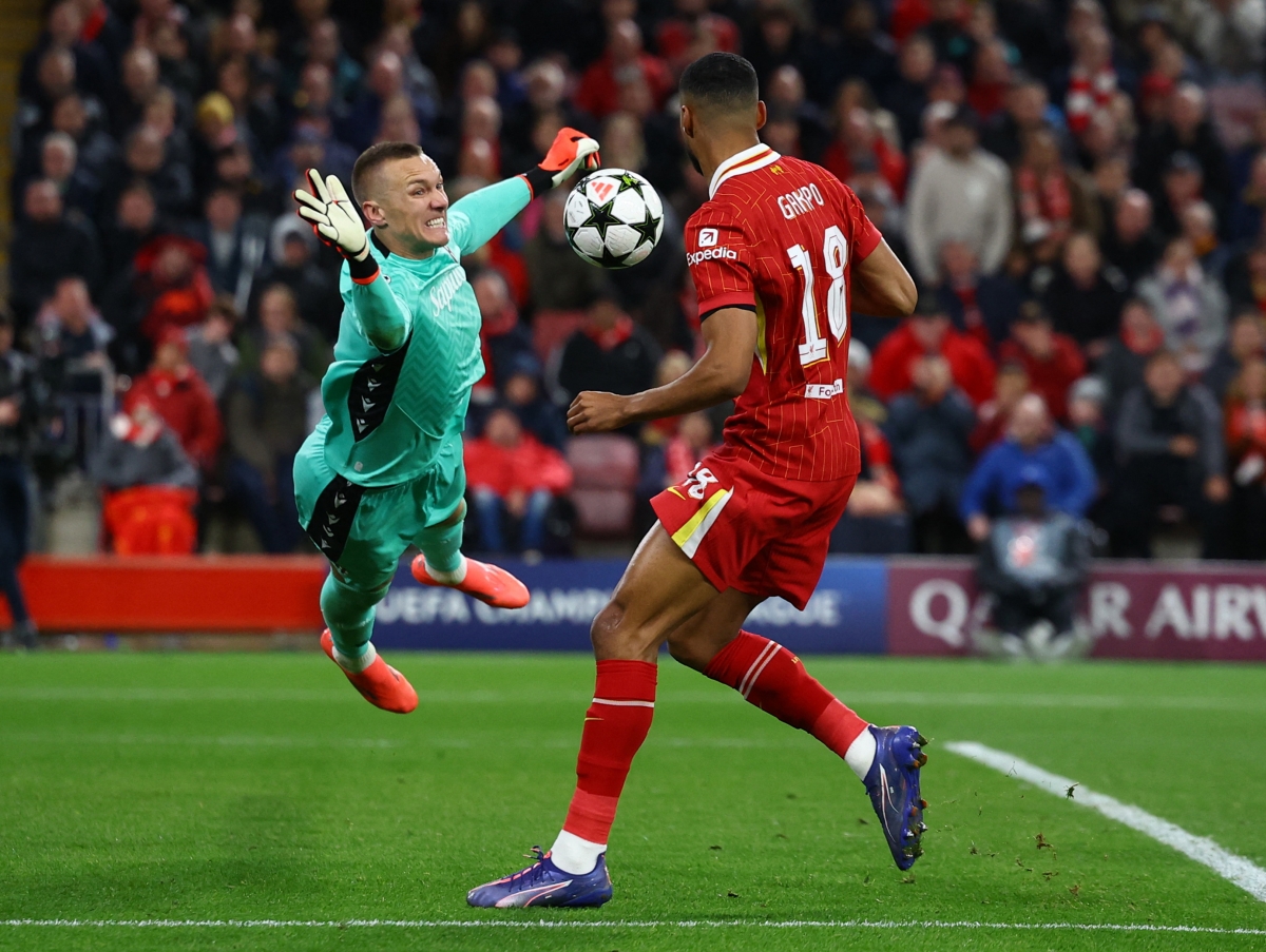 trực tiếp crystal palace 0-1 liverpool jota lên tiếng hình ảnh 23 truc tiep crystal palace 0-1 liverpool jota len tieng hinh anh 23