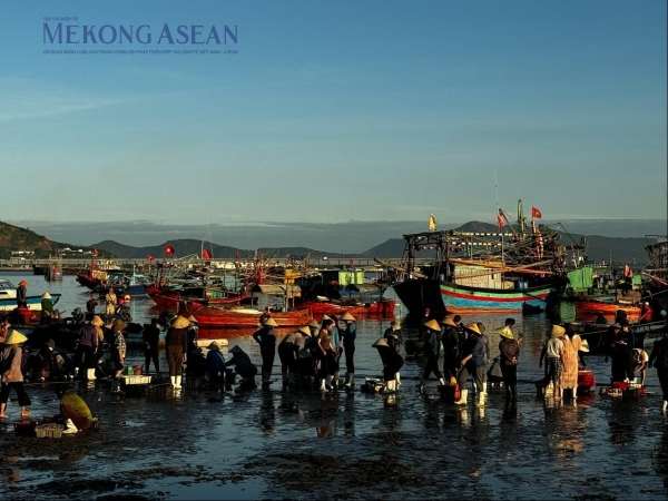 Nông, lâm, thủy sản tiếp tục tăng trưởng trong quý 3/2024 1 z5696956469889 6e64827745655aaf3f24c31728b435fa20241006135105