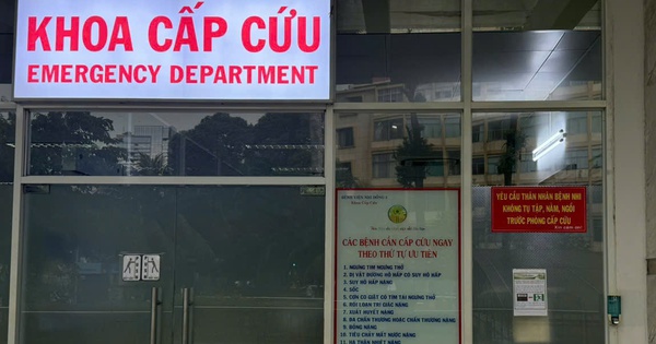 Bé gái 6 tuổi chấn thương nặng trong vụ cây xanh bật gốc đè 4 người ở quận 1, TP HCM 1 z5908632130671ed83e8216fa616be333aed88770b4a8d 1728374048423958457850 0 0 718 1149 crop 17283741239022098368381