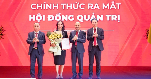 MISA bổ nhiệm bà Đinh Thị Thúy làm Phó Chủ tịch Hội đồng Quản trị 1 465230458 9065248143488152 1742868045527289497 n 17307758881981575877436 244 0 1291 2000 crop 1730775936943652302137