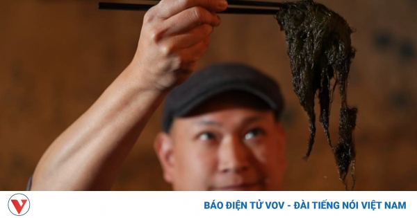 Loại thực phẩm ai nhìn vào cũng sợ nhưng lại bổ dưỡng ngang nhân sâm, tổ yến 1 an toc tien co tac dung gi 1 png
