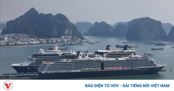 chi trong ngay 12 11 quang ninh don 2 sieu du thuyen cung hon 4 700 khach au my toi tham quan vinh ha long