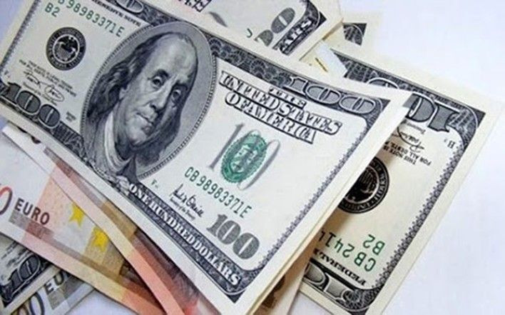 VDSC: Dự trữ ngoại hối đã hao hụt 8-10 tỷ USD trong năm 2024 1 dong usd