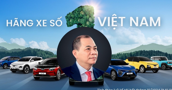 VinFast trở thành hãng xe chiếm thị phần số 1 Việt Nam 1 edit a1 17314064446291345701098 159 133 1042 1820 crop 17314064753561461371063