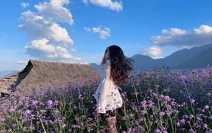 Giáng sinh Trắng Sa Pa gây chú ý vì "mang tuyết đến gần hơn với Đông Nam Á" - Ảnh 12.
