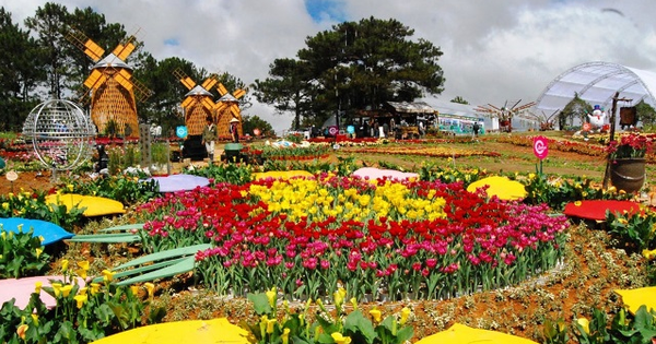 le hoi hoa da lat 2 16680943920111825455103 26 0 361 640 crop 17328057173441664269187