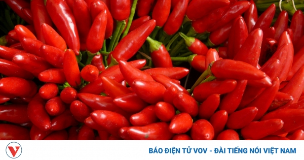 Loại quả "khắc tinh" của mỡ máu và ung thư, người Việt ăn quanh năm mà không biết 1 loi ich cua ot cay 1