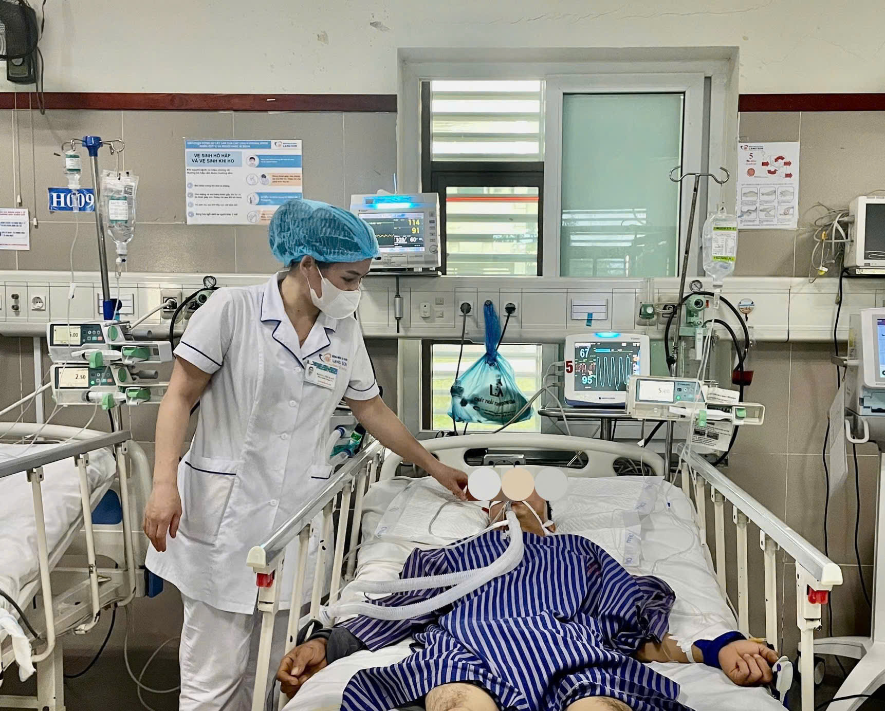 Ngộ độc do ăn hoa chuông- Ảnh 1. Ngộ độc do ăn hoa chuông- Ảnh 1.