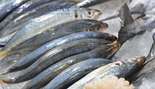 Thủy sản xuất khẩu phục hồi ở tất cả mặt hàng chủ lực 1 nhu 5541 120241124105627