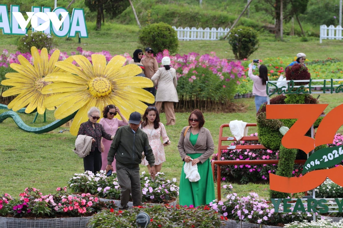 lam Dong gap rut chuan bi khai mac festival hoa Da lat lan thu 10 hinh anh 2