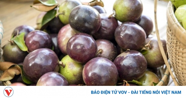 Loại quả "đại bổ" chỉ có Việt Nam xuất khẩu, nhiều người chưa biết vẫn tận dụng 1 tac dung cua qua vu sua 1