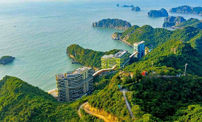 Vinaconex-ITC vay công ty mẹ 300 tỷ đồng để làm dự án Cát Bà Amatina 1 1734066755367