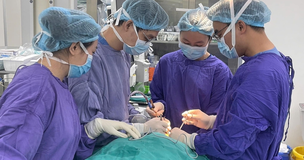 Người đàn ông bị chó cắn đứt rời môi 1 47057547610955061957012536694524532648192064n 1734488218697250205188 97 0 1377 2048 crop 1734488318362105396225