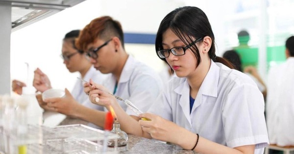 Đề xuất chính sách hỗ trợ sinh viên ngành y như ngành sư phạm 1 5519 hyyng nghiyp nganh y dyyc2 17350228752911627134295 54 0 804 1200 crop 1735023079955733689660