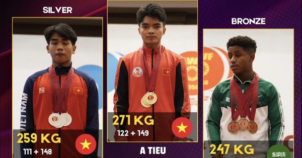a tieu 17348763406022097843029 300 0 1468 1869 crop 17348772109621593395740