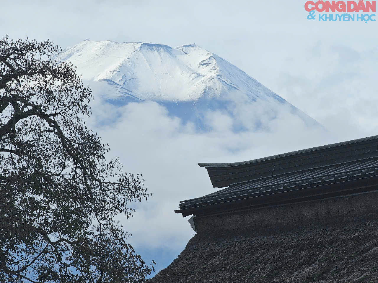 Oshino Hakka, ngôi làng cổ đẹp như mơ dưới chân núi Phú Sĩ - Ảnh 8.