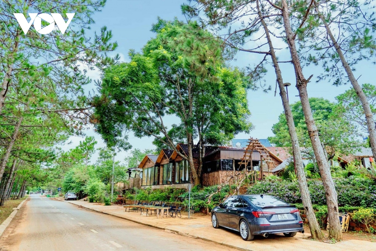 Diem den nao duoc du khach viet quan tam nhat nam 2024 hinh anh 2