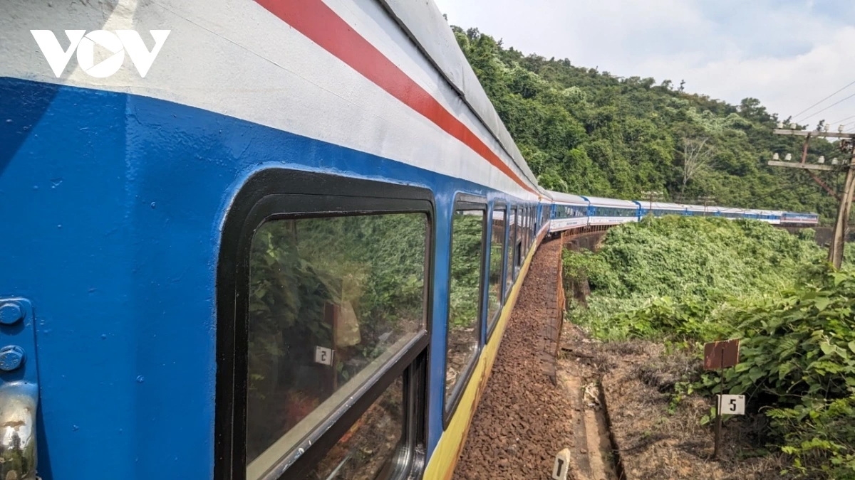 tang truong luong du khach den Da nang bang tau hoa hinh anh 2
