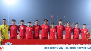 dt viet nam 6
