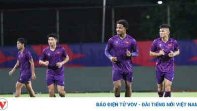 dt viet nam 5