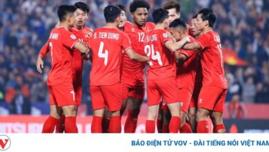 dt viet nam 6