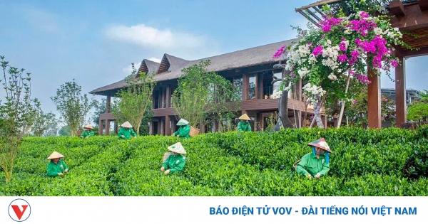du lich vung che thai nguyen 5